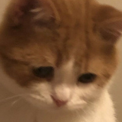 #3 Cô đơn bao lâu anh mới biết (sped song)