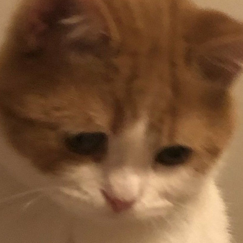 #3 Cô đơn bao lâu anh mới biết (sped song)