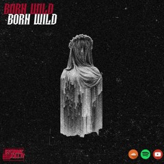 Born Wild | Drake x Travis Scott Type Beat | Hard Dark Trap Type Beat (Prod. By Stormz Kill It)