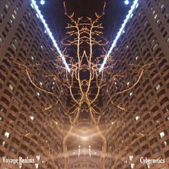 Infinite Bounds (Cybernetics EP Out Now. Purchase here: voyagerealms.bampcamp.com/album/cybernetics)