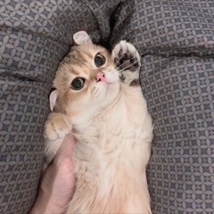 PiXXiE - เด็ด (cover)