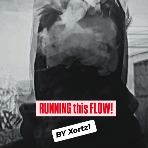 Xortz1-Running this Flow