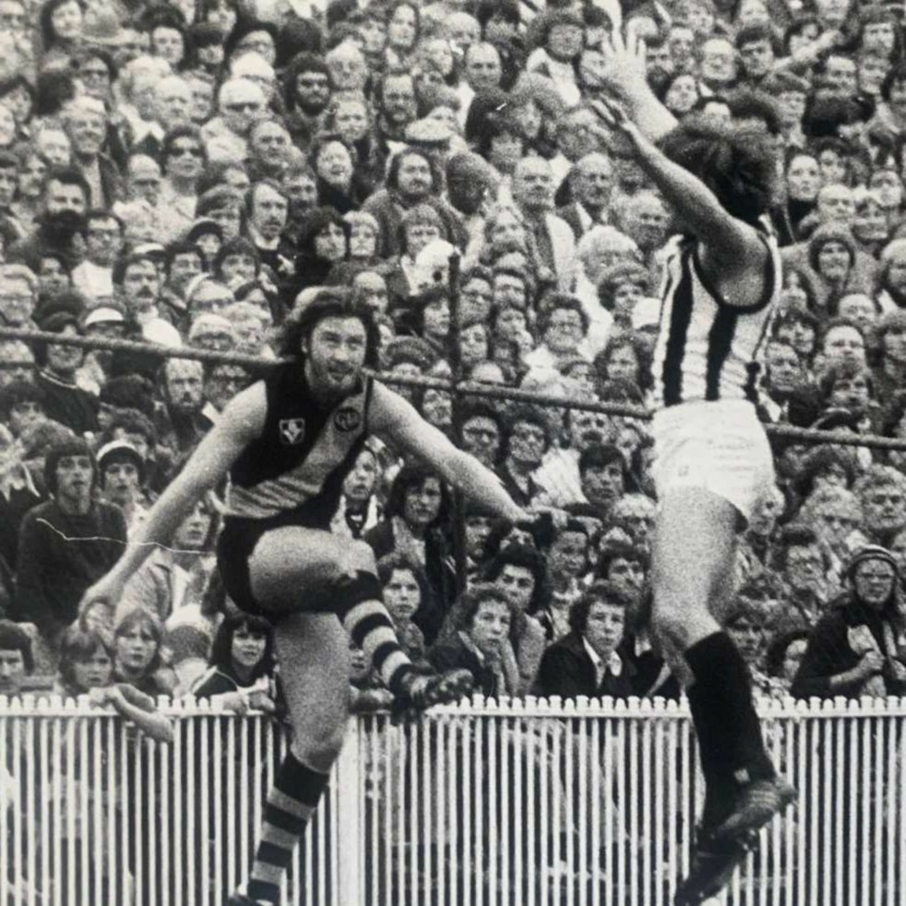 ROAR:  Richmond Football Club history