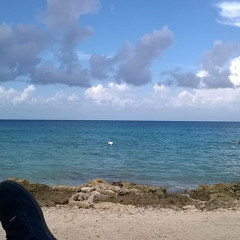 The World Is Hurting