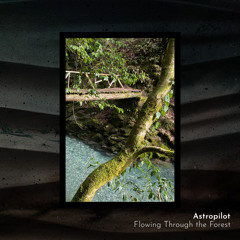 Whispers of the Stony Shore