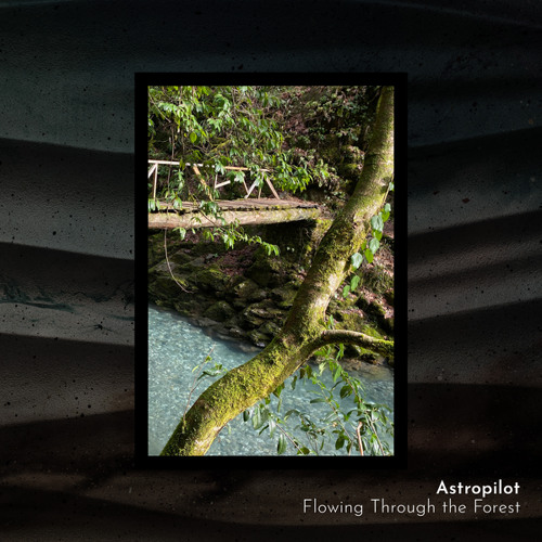 Whispers of the Stony Shore