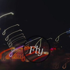 Fly