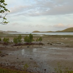 FLOWER BLO ARERE - Josh Charlton ft. DirtyKal & David Giyl #23