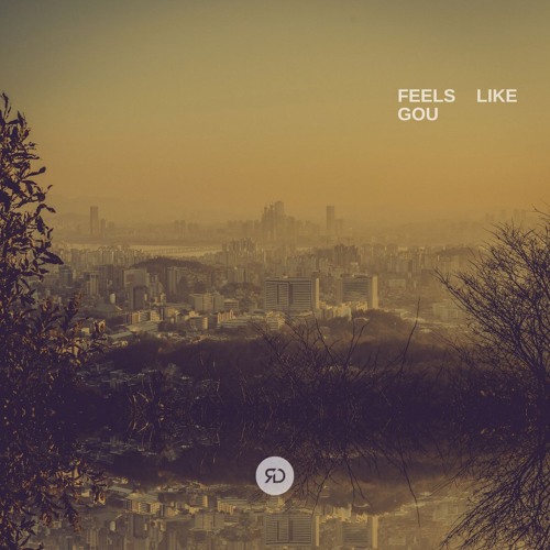 Feels Like Gou - Reed Dailey Music