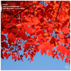 Take Me (Home) ft. Lola Murz