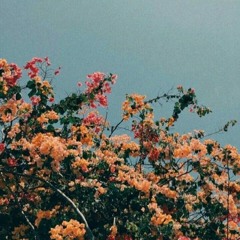 Love Songs About People I Hate