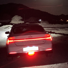 يا طير الجنوب شلون؟