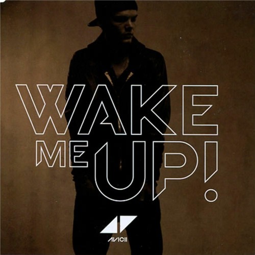 WAKE ME UP ( Avicii )  VER HOUSE -  NCruise (Edit)