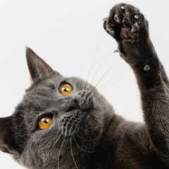 you probably don’t even hear it when it happens, right? (prod. heavn0nevaeh)