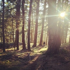 Spring Equinox Ecstatic Dance