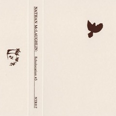 NTR017 - Nathan McLaughlin - Echolocation 5 "A1 5.1"