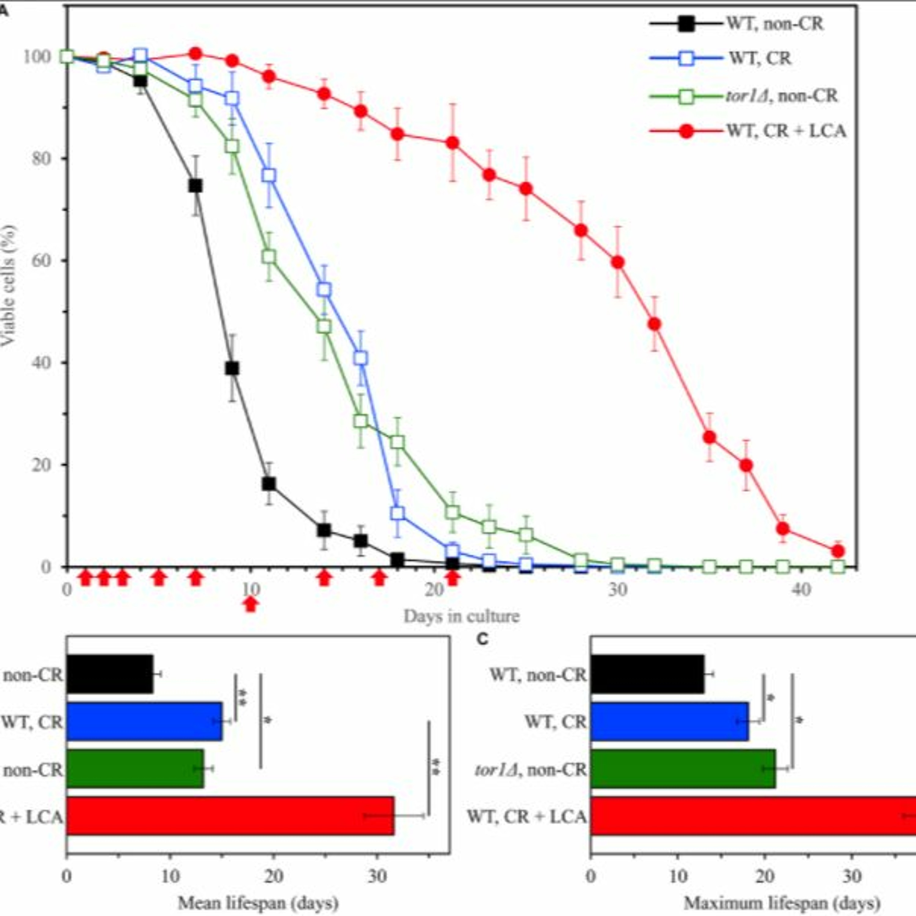 Oncotarget