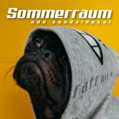 Sommerraum (raff nix mix) by Odo Sendaidokai #Teaser