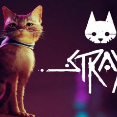 Cool down - Stray