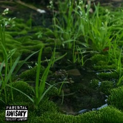 CRUSHEDMYSELF (prod. CapsCtrl)