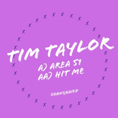 Tim Taylor - Hit Me