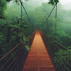 manifestando costa rica