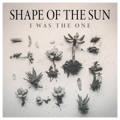 Shape Of The Sun - I Was The One