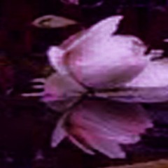 Cloud Hunting - Wildsilences / numbers in the dream