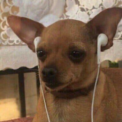 Originalala - Demo | Kết thúc