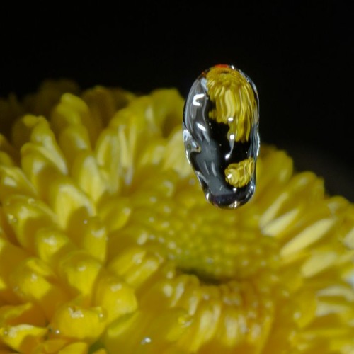 Stream Leaky Faucet by Zac Ludwig Listen online for free on SoundCloud