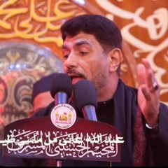 موال صحت يالخيل - جعفر الدرازي - نرجع للزيارة - 20 صفر 1446 هـ - المخيم الحسيني