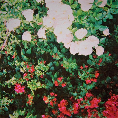 big spoon (prod. by ovrkast)
