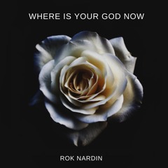 Rok Nardin - Where Is Your God Now
