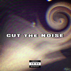 CUT THE NOISE (p arnoia^-b)