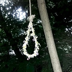 Tangled Noose