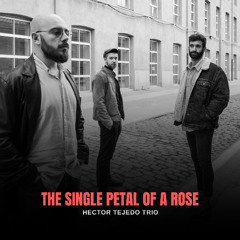 The single petal of a rose