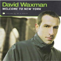 David Waxman - Welcome To New York - 2001