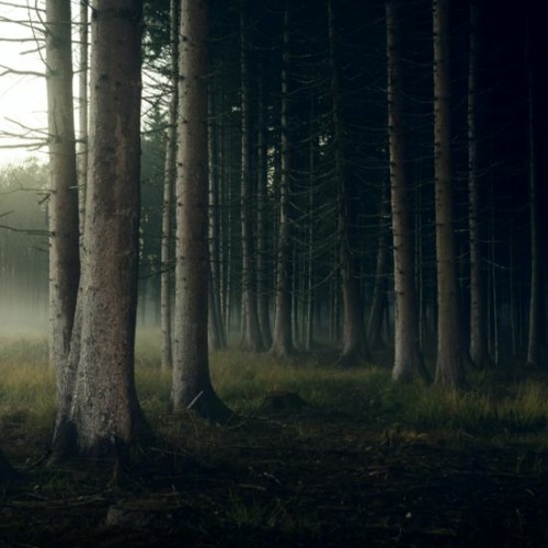 Addex, happy background music FREE DOWNLOAD