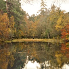 You should probably leave