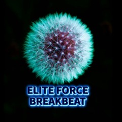 ELITE FORCE & REMIXES - BREAKBEAT SESSION #309 mixed by dj_némesys