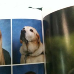 HOMELESS BILLIONAIRE