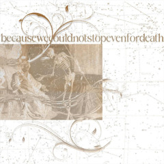 becausewecouldnotstopevenfordeath - rock through a window