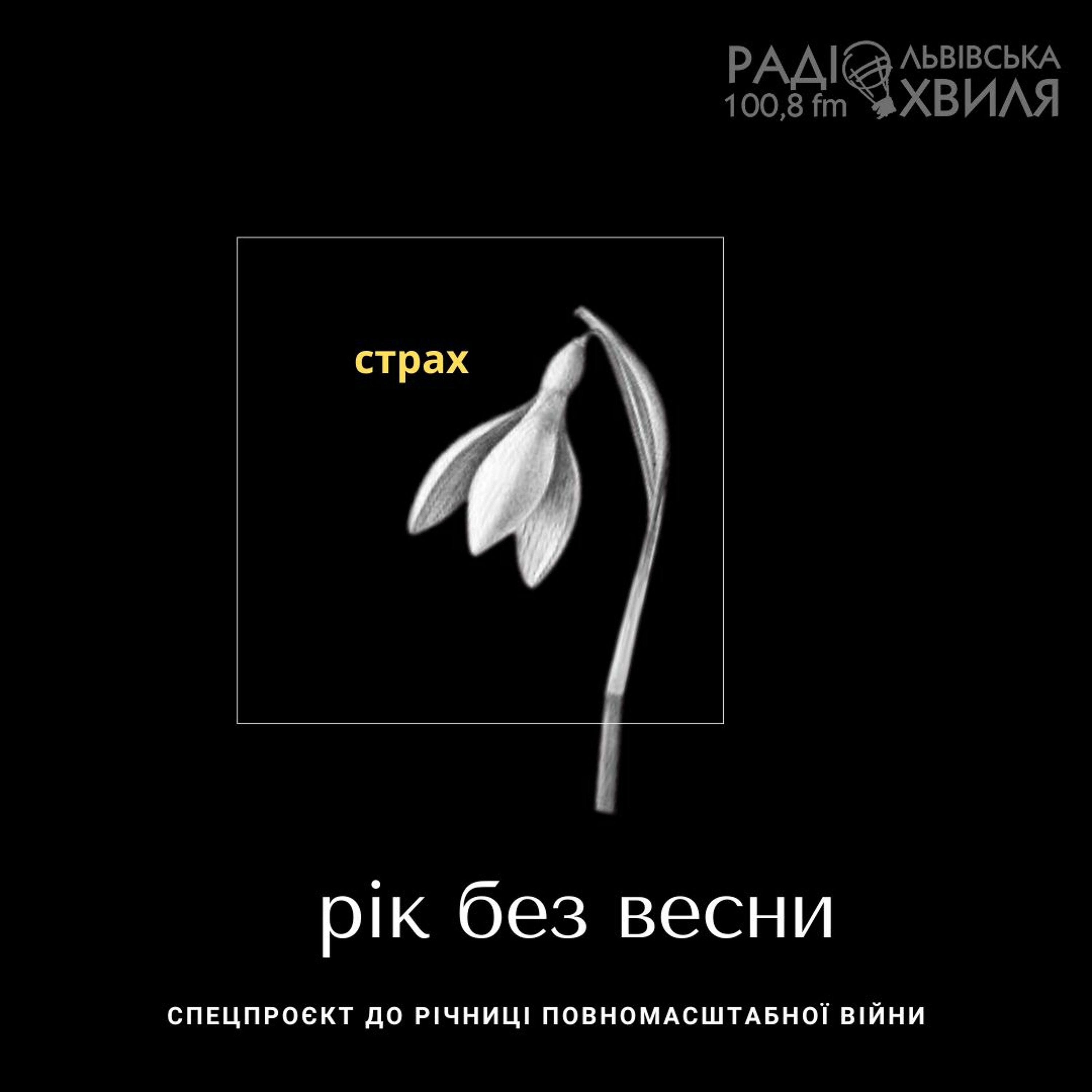 Рік без весни // СТРАХ // спецпроєкт до річниці повномасштабного вторгнення episode artwork