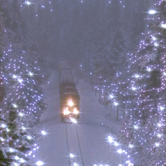 ☃︎⋆꙳•❅*ִ
