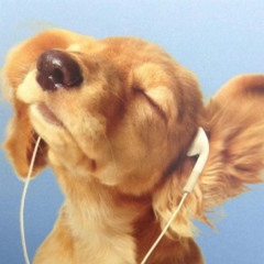 dummy @ banana frita || lenuxxxia b2b noologia 23.10.25