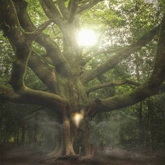 Peço Licença(I ask permission)