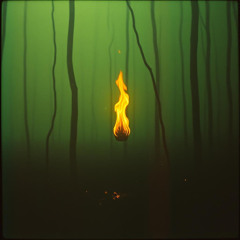 HE CARRIES THE FLAME