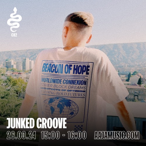 Junked Groove w/ Junky Palms