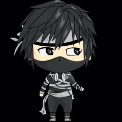 Art Of The Ninja Vol.2