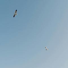 Soar - track 3